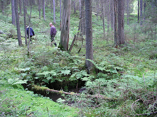 Kuva: Mauno Särkkä