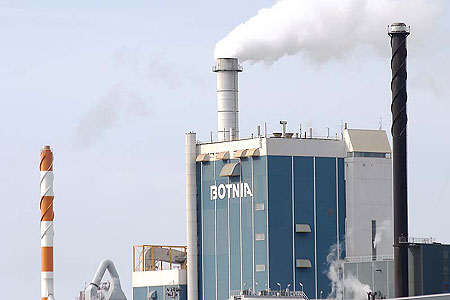 Clearcut in old-growth forest in Jooseppitunturi, 300 meters above the sea level.