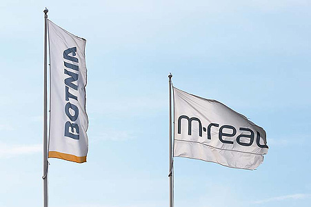 Clearcut in old-growth forest in Jooseppitunturi, 300 meters above the sea level.