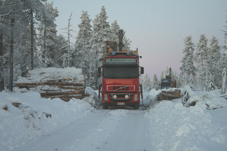 Metsähallitus trucks loading old-growth forest wood for pulp and paper mills in old-growth forest logging site in Painopää, December 17, 2006. One of the buyers of the wood is Stora Enso´s pulp mill in Kemijärvi, supplying Stora Enso´s Veitsiluoto paper mill which produces magazine papers, envelopes and printing paper.