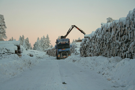 Metsähallitus trucks loading old-growth forest wood for pulp and paper mills in old-growth forest logging site in Painopää, December 17, 2006. One of the buyers of the wood is Stora Enso´s pulp mill in Kemijärvi, supplying Stora Enso´s Veitsiluoto paper mill which produces magazine papers, envelopes and printing paper.
