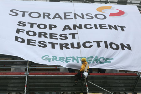 Clearcut in old-growth forest in Jooseppitunturi, 300 meters above the sea level.