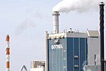 Botnia pulp mill in Kemi is one of the recipients of old-growth forest wood
