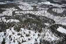 Aerial view on industrial logging in Northern Finland.  Savukoski 2007