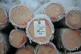 Wood labelled for Finnforest Karihaara sawmill. Photo (c) Greenpeace/Tahvanainen