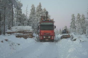 Metsähallituksen rekat lastaavat ikimetsää sellutehtaalle Savukosken Löytinkivaarassa joulukuussa 2006